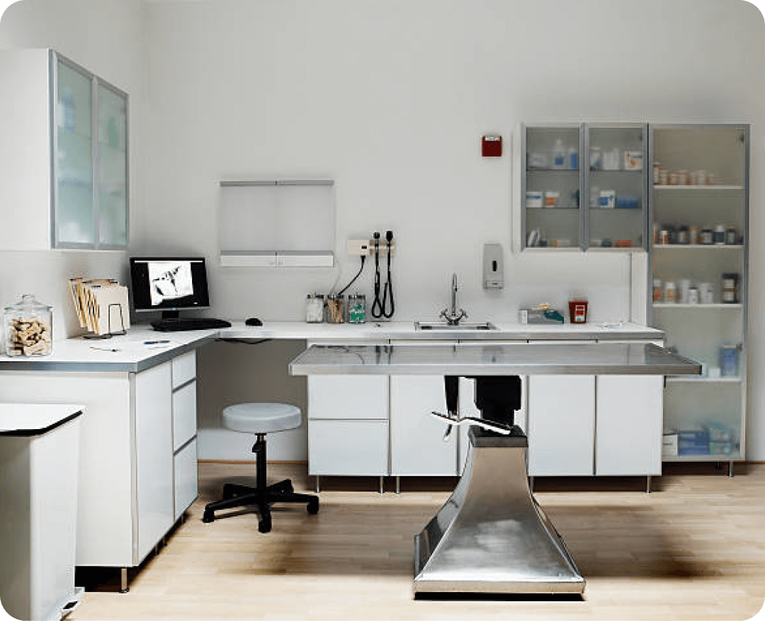 Állatorvosi műtő 2